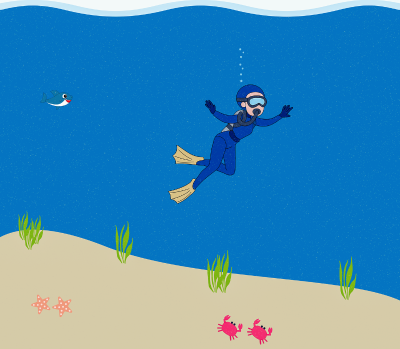 获取服务器的公网IP地址命令